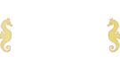 CasinoCruise Ireland